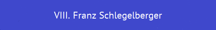 VIII. Franz Schlegelberger